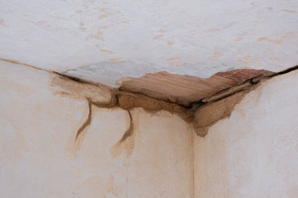 Best Commercial water damage restoration  in Yutan, NE