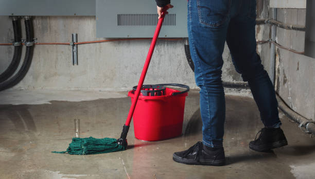 Best Emergency water damage restoration  in Yutan, NE
