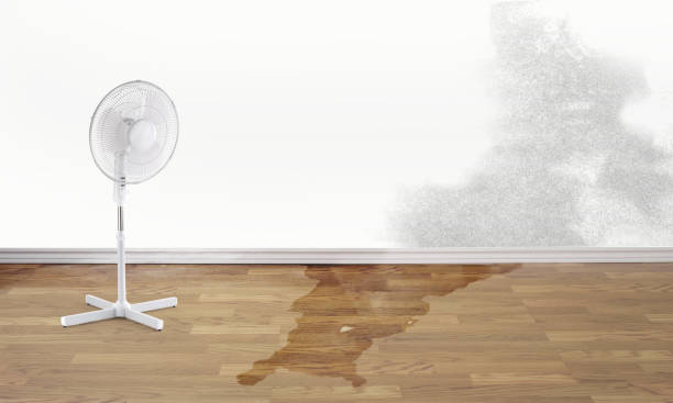 Best Sewage cleanup and water damage restoration  in Yutan, NE